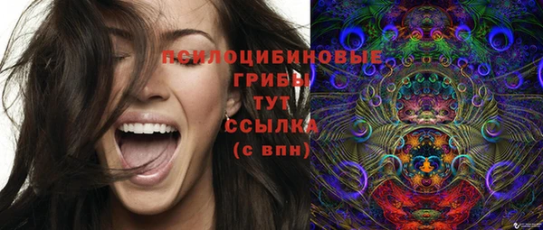 шишки Михайлов