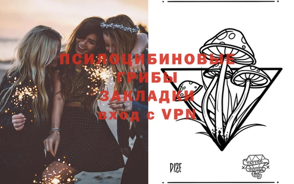 шишки Михайлов