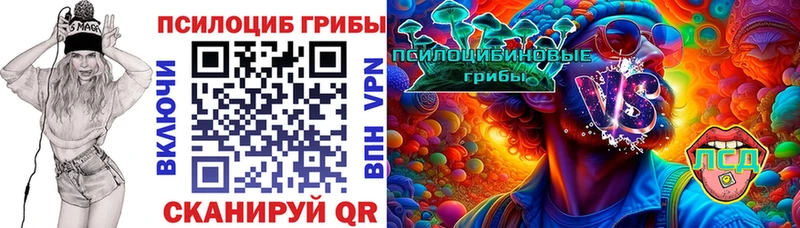 Купить где  Фролово  Псилоцибиновые грибы ЛСД 